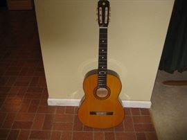 Guitar