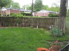 Many shepherds hooks