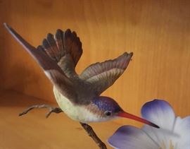 Hummingbird Porcelain