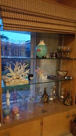 Cookie Jar, White Reef Coral