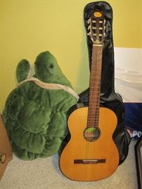 Acoustic guitar. Big green turtle.