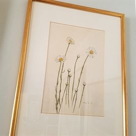 Helen Baillie watercolor of daisies