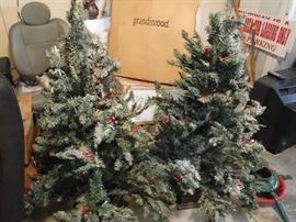 Christmas trees fresh out of the boxes