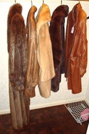 Full length fox fur, fur and leather jackets.