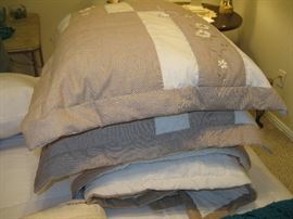Queen Size Spread and pillows 