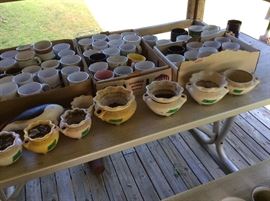 Close up of some of the flower pots