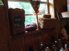 Storage Room - Fall items