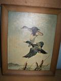 flying ducks...anyone?