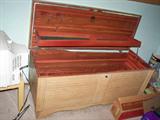 Lane cedar trunk