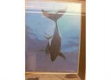 Dennis cook . whale w calf