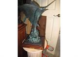 sailfish-Dr R. Taylor