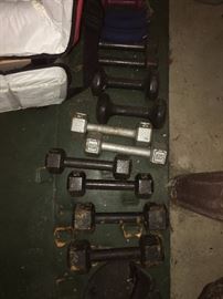 Free weights (all sizes)