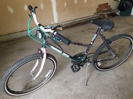 Girls Timber Mountain 10 speed bike