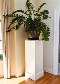 Pair of White Light-Up Pedestals & Potted Tropical Houseplants