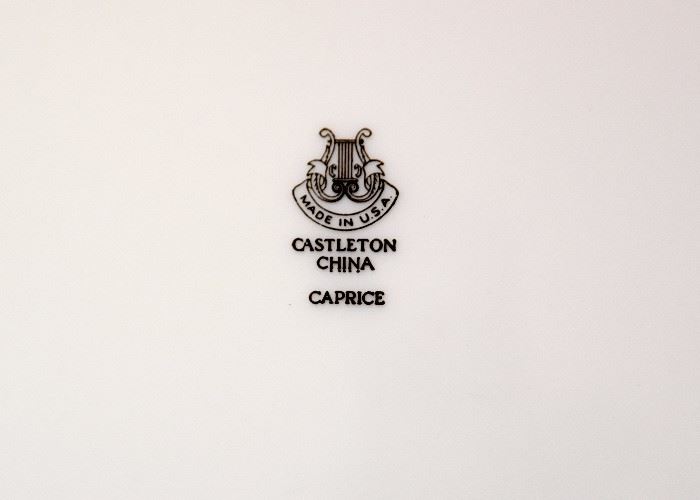 Set of Castleton China (Caprice Pattern), Made in USA