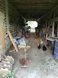 view inside Barn 1--Chickens will be for sale (Lord have mercy if I have to start catching them!)