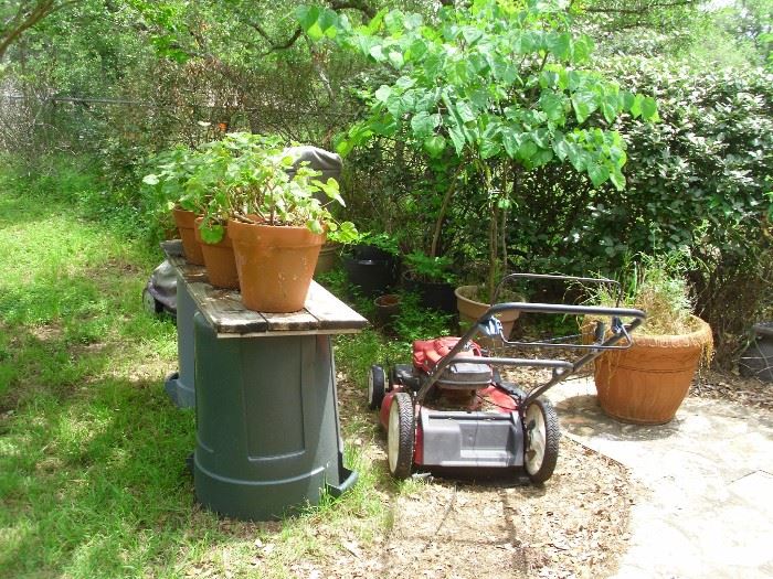 Lawn mower and plants