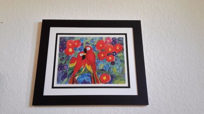 Robin Parrot and Poppy Framed Print