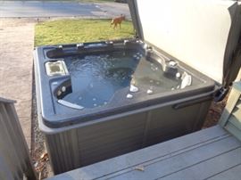 5 person jacuzzi.