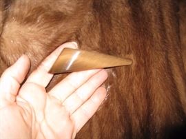 Awesome button on full length Mink