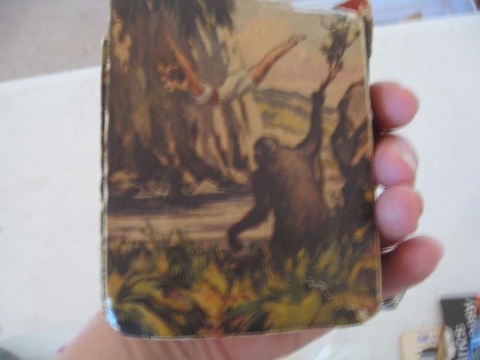 Back of Tarzan's Revenge pocket size book