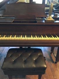 Steinway Duo-Art Player Piano