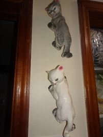 Wall Climbing Kittens