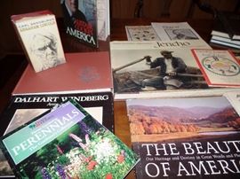 Texas and America inspired books