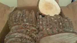 Wood slices (30 pieces)