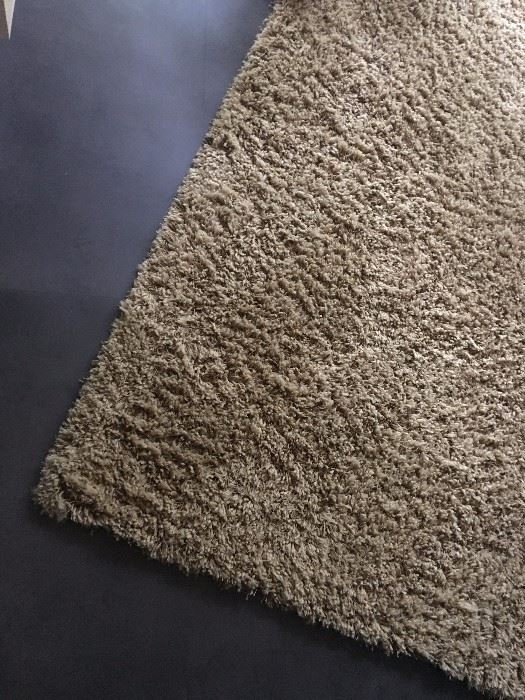 Shag carpet