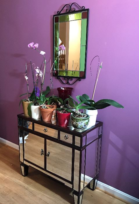 Small mirrored cabinet, orchid collection