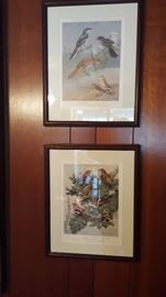 Original Audubon bird pictures