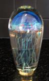 Satava Jellyfish