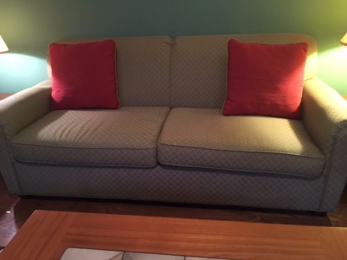 Sleeper Sofa with clean lines in excellent condition