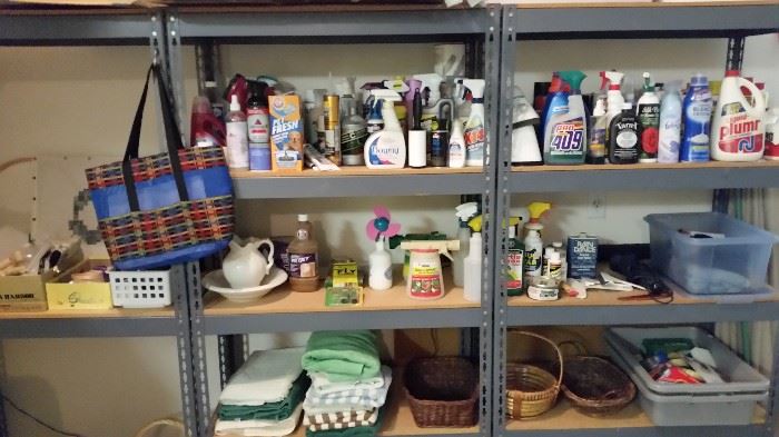 Chemicals and Garage Shelving