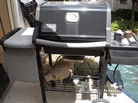 Weber grill