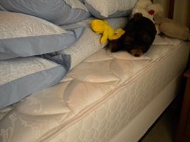 Full mattress and linens Laura Ashley