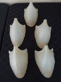 Antique Chandelier five shell/petal shades! Absolutely stunning and unique!