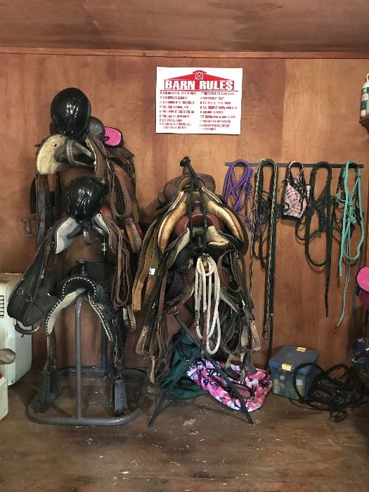 big horn and many others. Including 1 English saddle. Higher end saddles and tack in house. 
