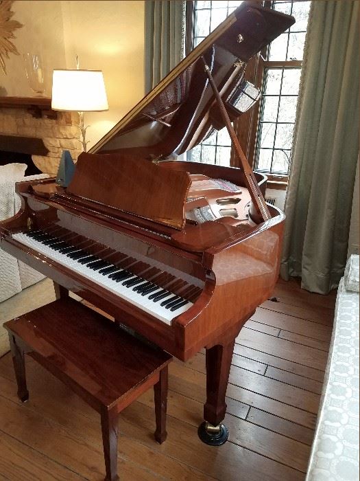 Baby Grand Cristofori player piano - $4000
