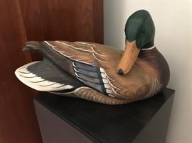 Ducks Unlimited