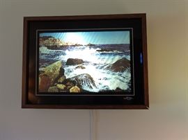 The "Moving Scene" lighted box. Mesmerizing....