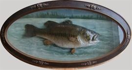 1920s Huge Large Mouth Bass Taxidermy Mount under Bubble Glass