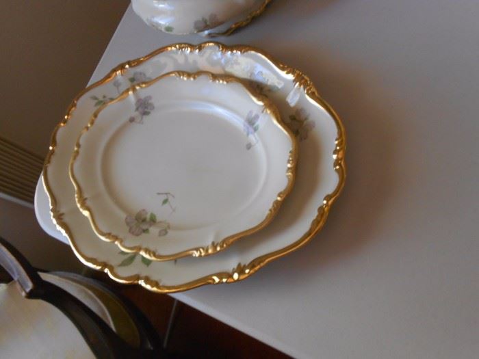 Rosenthal Selb dinnerware "Pompadour"