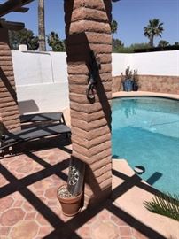 Blue pots with cactus are not for sale