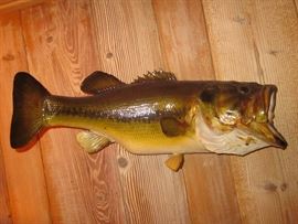Actual Large Mouth Bass (taxidermy) in great shape.  Measures: 23" long, 9" high