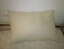 High end pillow: Latex Savvy Rest (with cover).