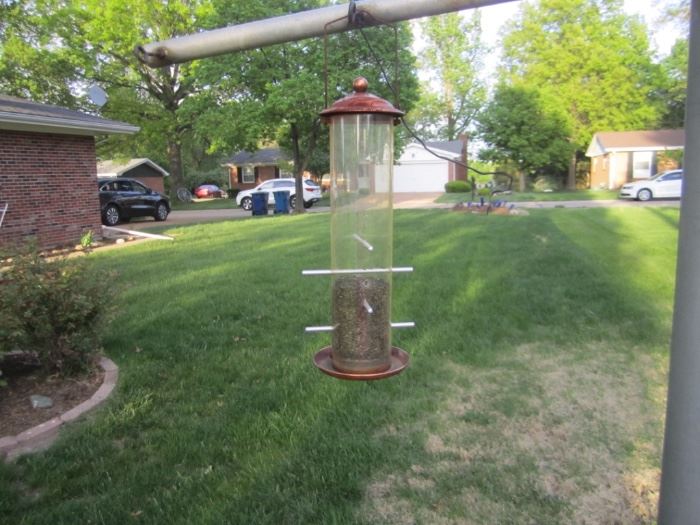 several bird feeders