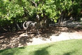 Bronze horse – 71” tall Bronze horse – 41” tall