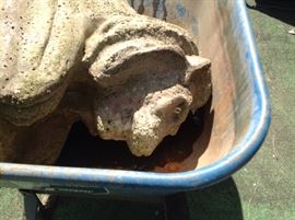 Picture of lions head